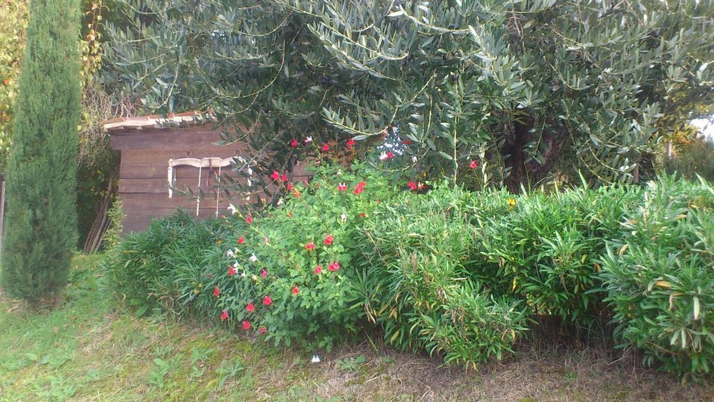 Poggio Dei Prugnoli Bed & Breakfast Tavoleto Eksteriør bilde
