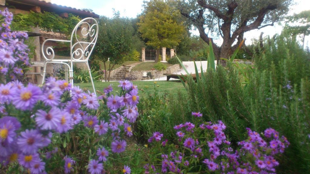 Poggio Dei Prugnoli Bed & Breakfast Tavoleto Eksteriør bilde