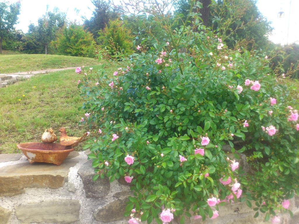 Poggio Dei Prugnoli Bed & Breakfast Tavoleto Eksteriør bilde