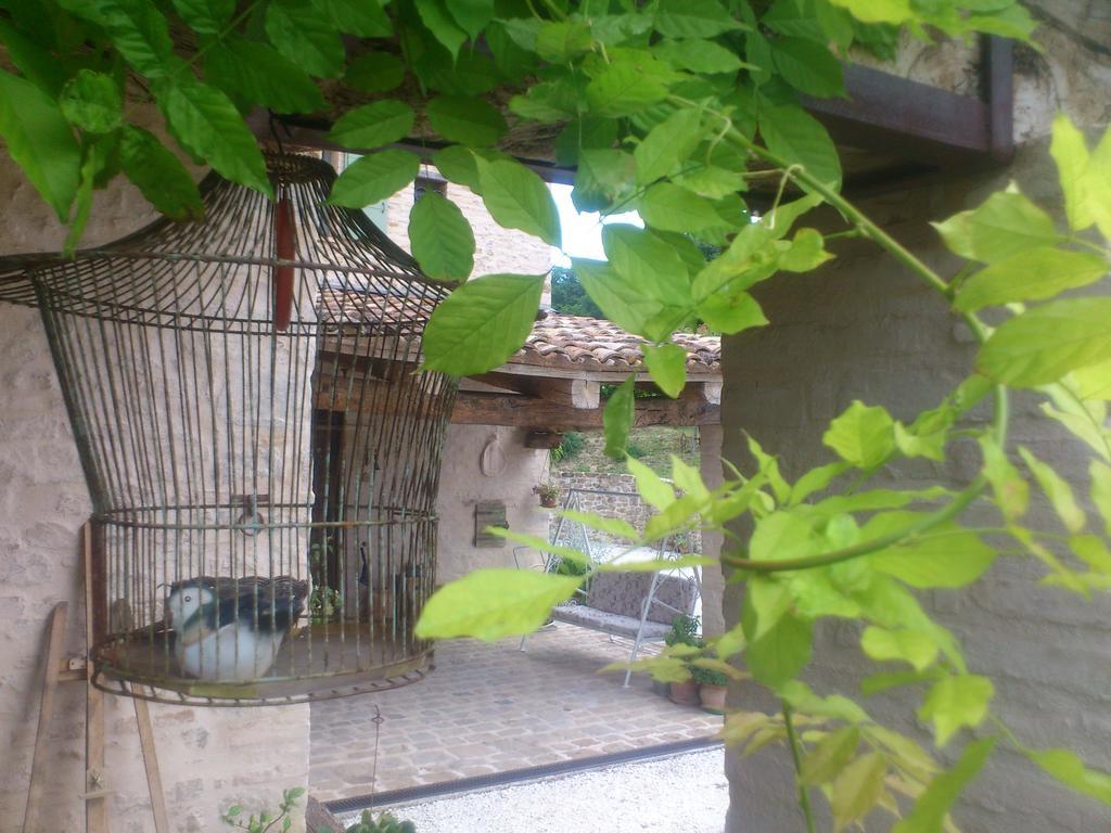 Poggio Dei Prugnoli Bed & Breakfast Tavoleto Eksteriør bilde