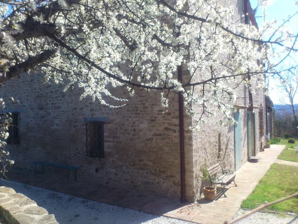 Poggio Dei Prugnoli Bed & Breakfast Tavoleto Eksteriør bilde