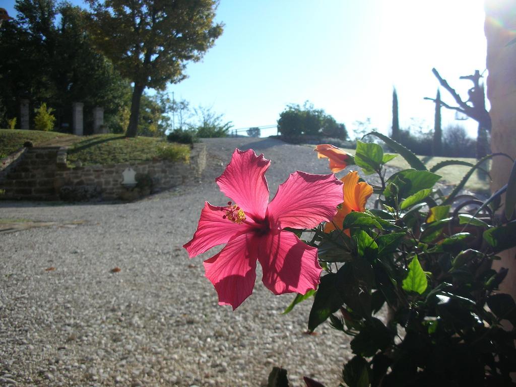 Poggio Dei Prugnoli Bed & Breakfast Tavoleto Eksteriør bilde
